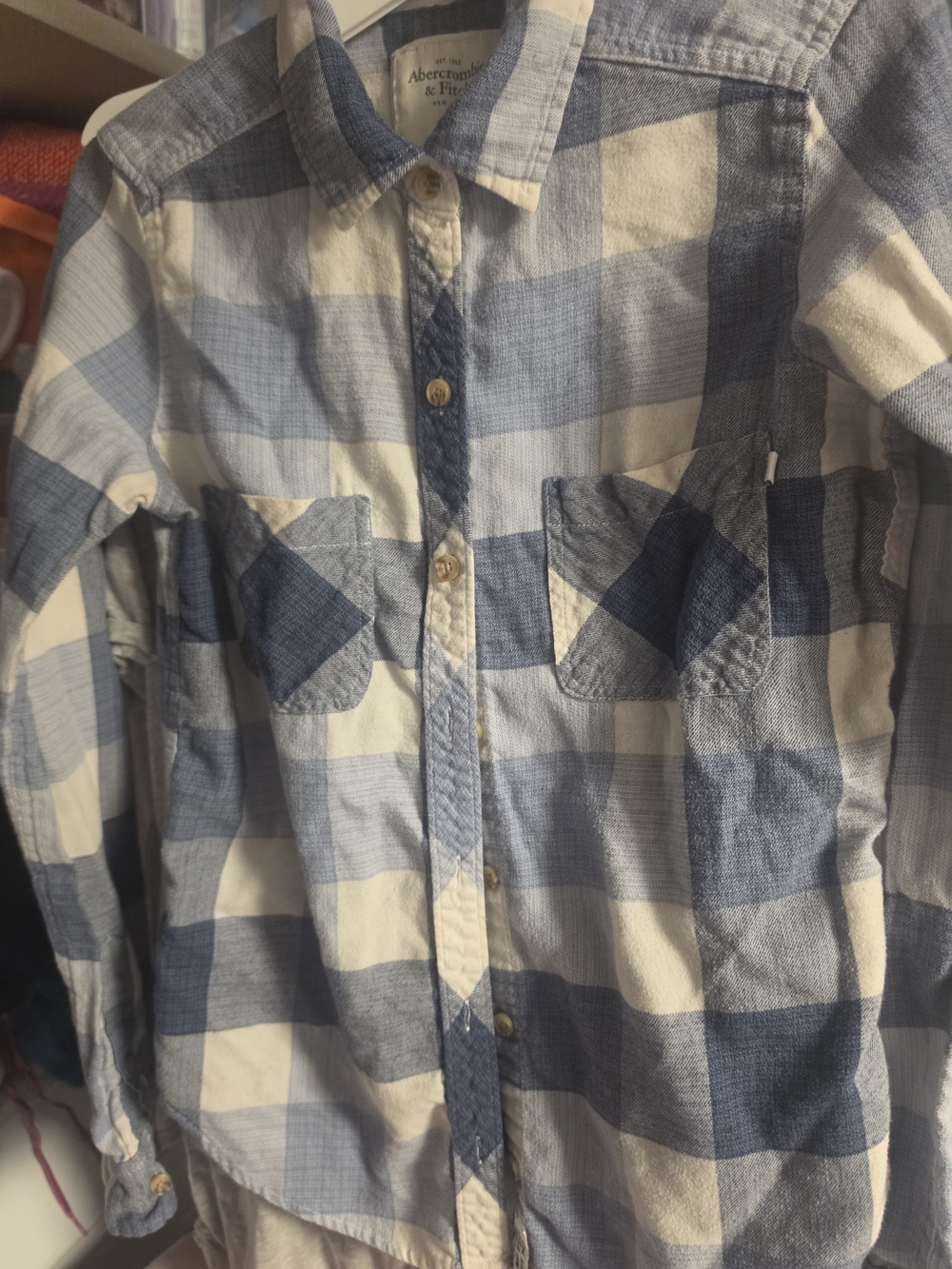 Abercrombie & Fitch Kids Light Blue and White Checked Button-Down Shirt